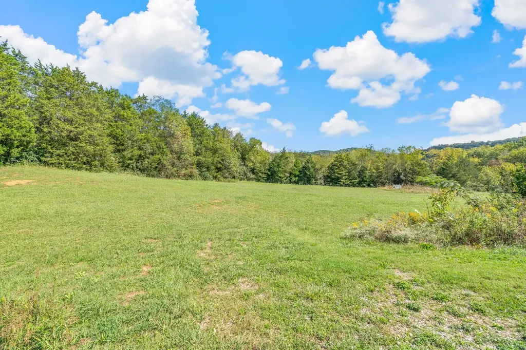 3411 Decatur Highway Kingston TN 37763