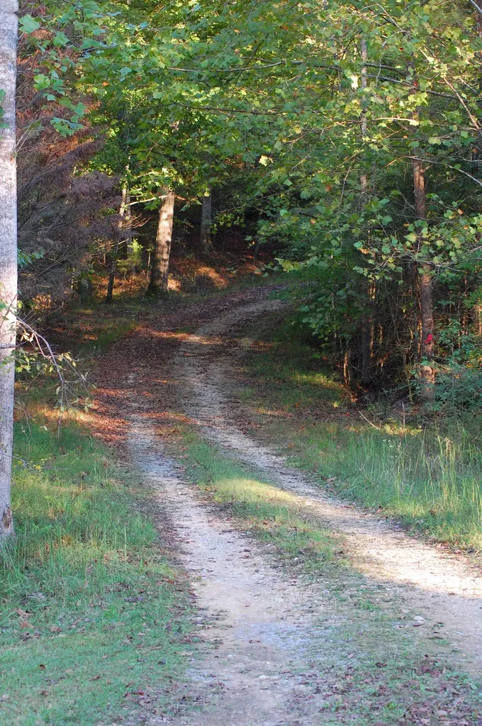 547 Grindstone Hollow Road Dickson TN 37055