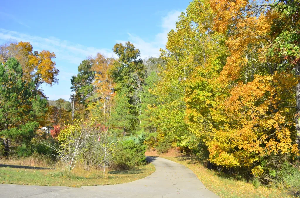 547 Grindstone Hollow Road Dickson TN 37055