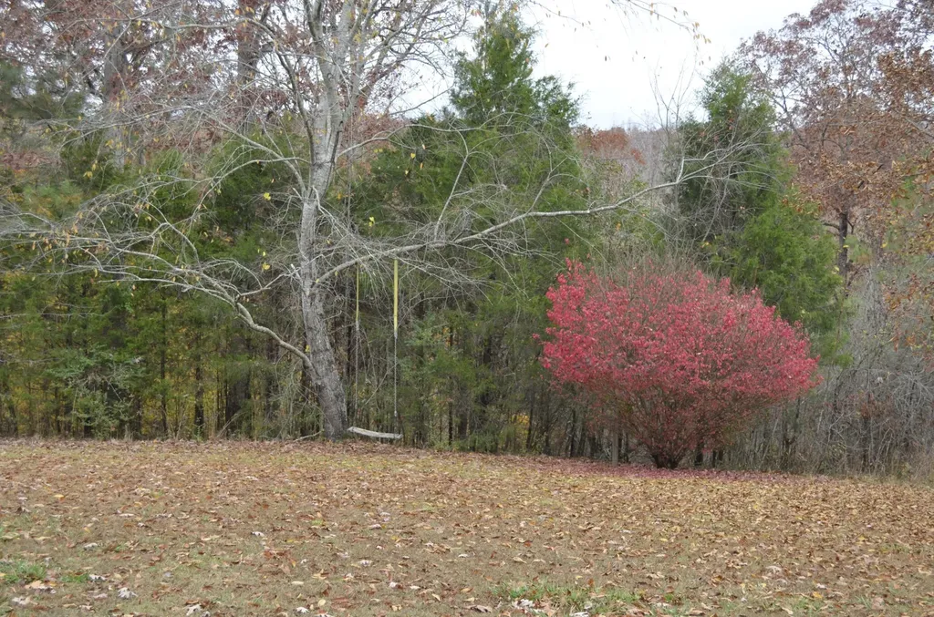 547 Grindstone Hollow Road Dickson TN 37055