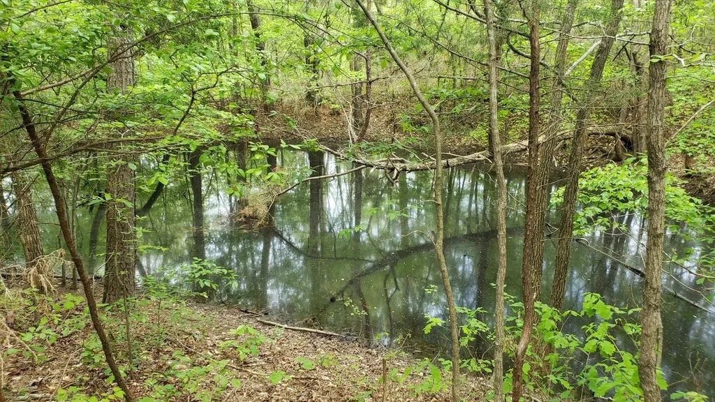 547 Grindstone Hollow Road Dickson TN 37055