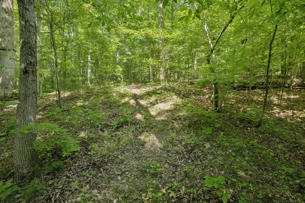 547 Grindstone Hollow Road Dickson TN 37055