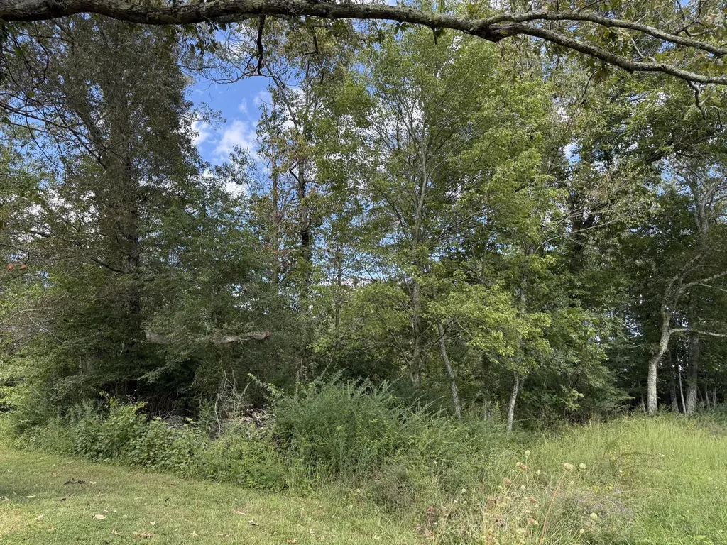 11 Newton Road Crossville TN 38572