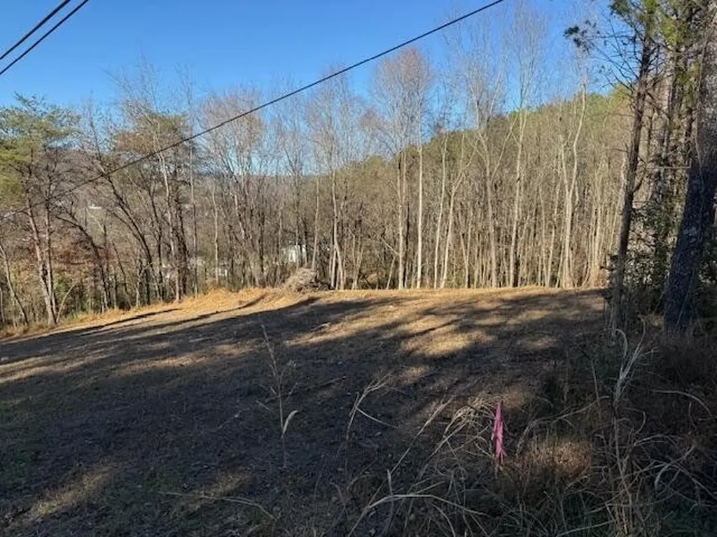 22 Moon Circle Spring City TN 37381