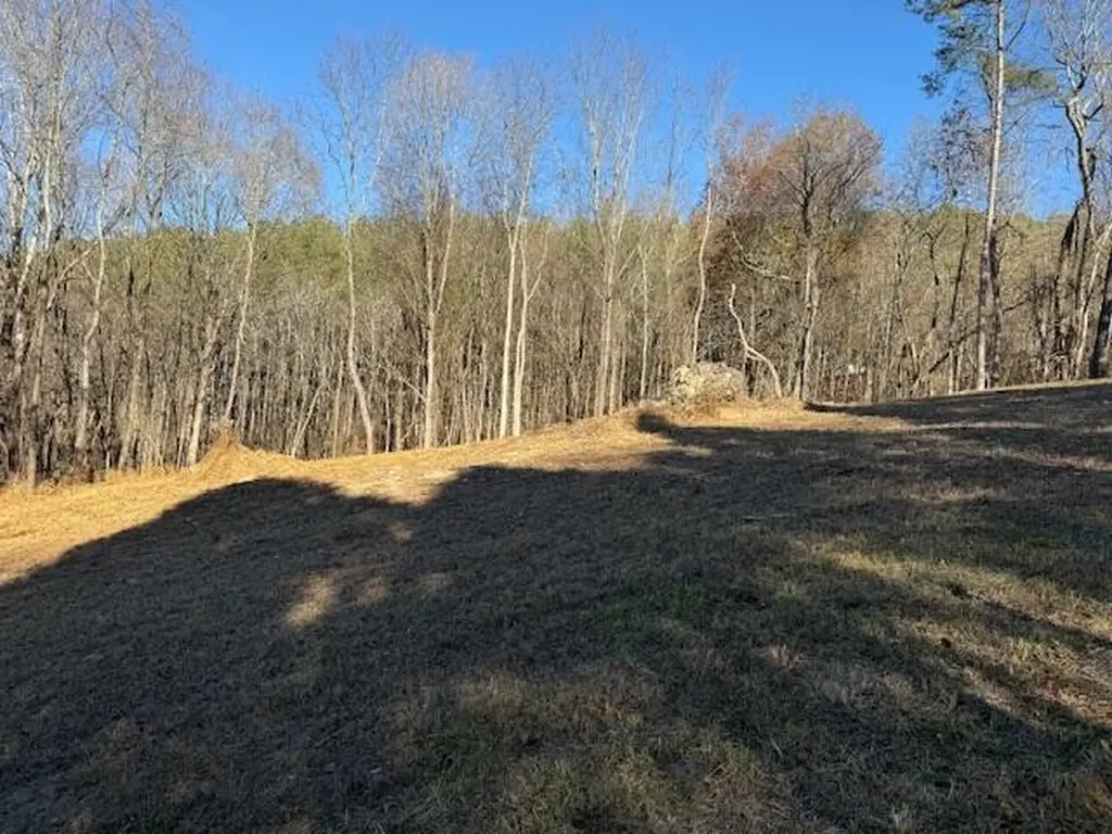 22 Moon Circle Spring City TN 37381