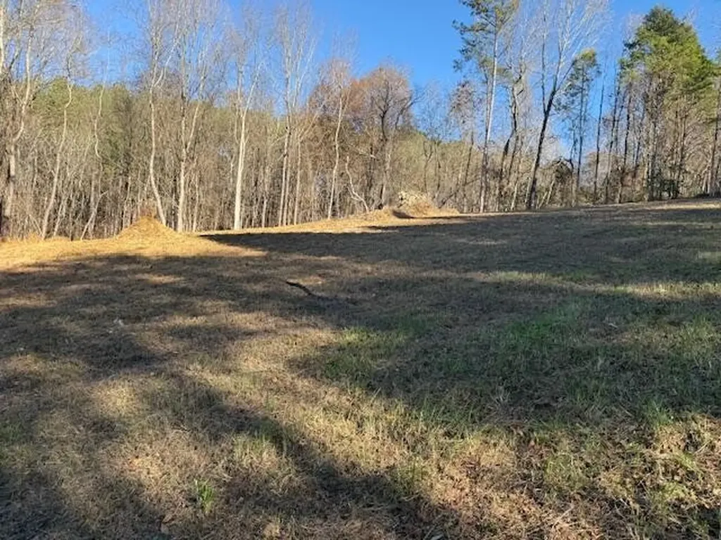 22 Moon Circle Spring City TN 37381