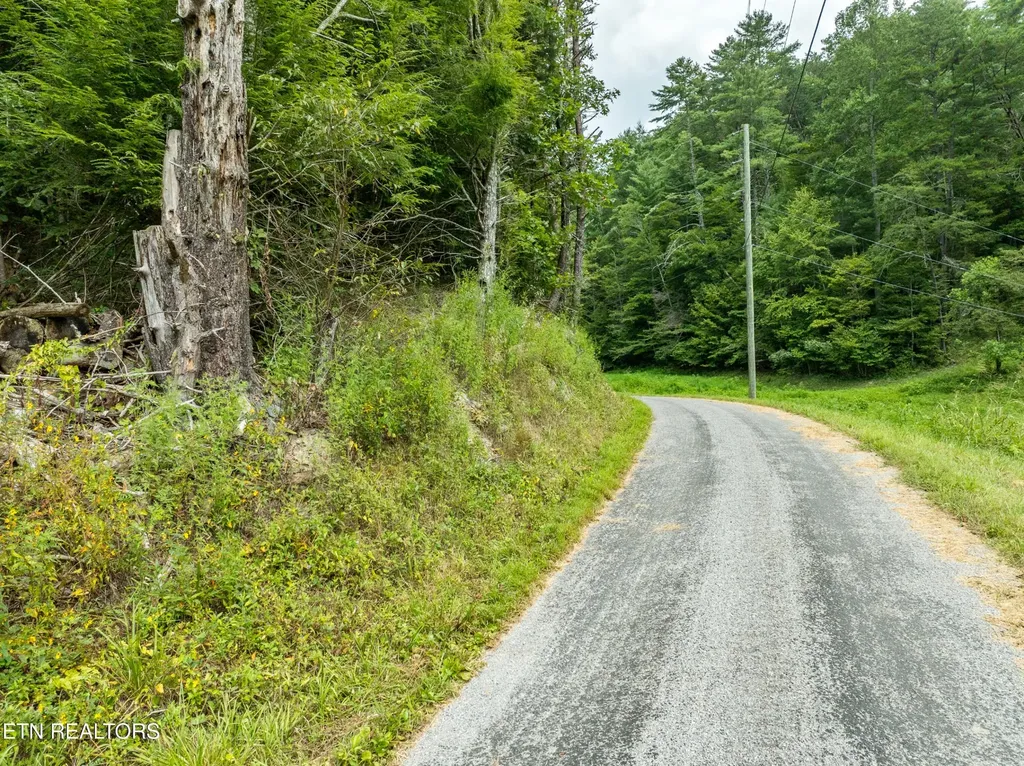 288 Oosterneck Road Tellico Plains TN 37385