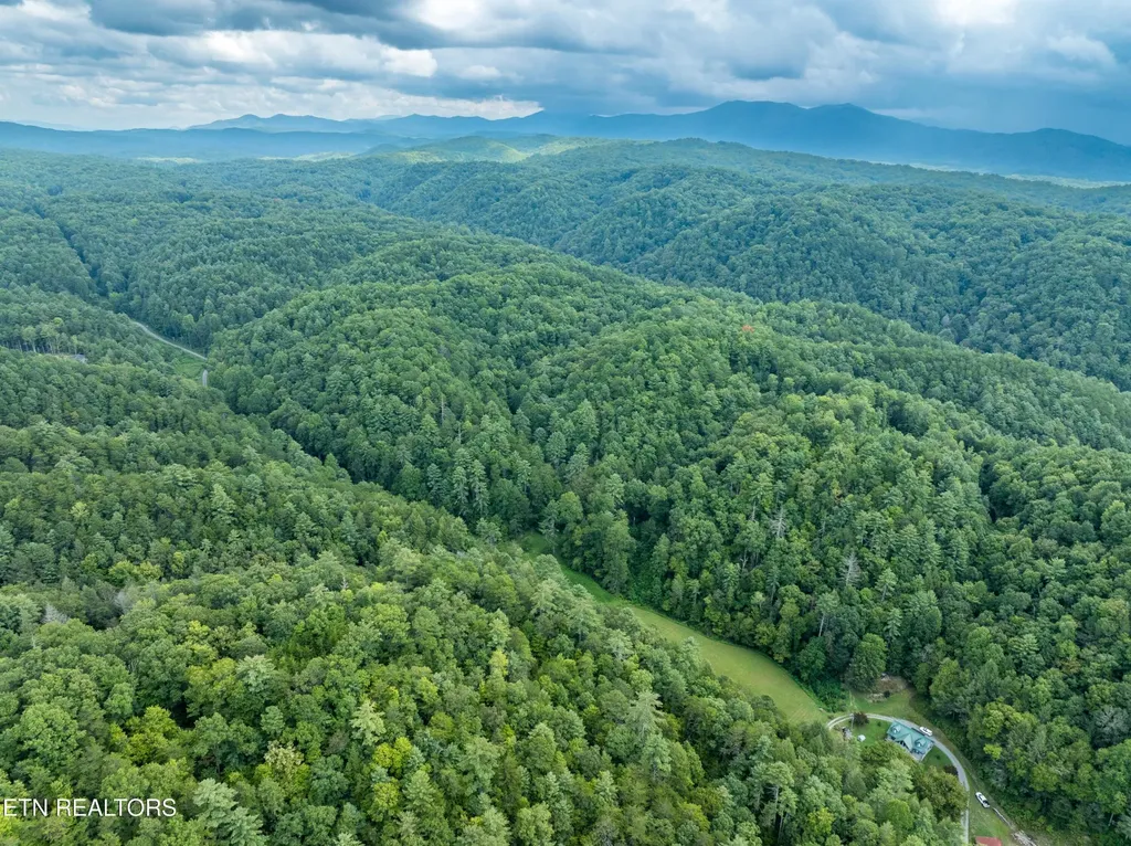 288 Oosterneck Road Tellico Plains TN 37385