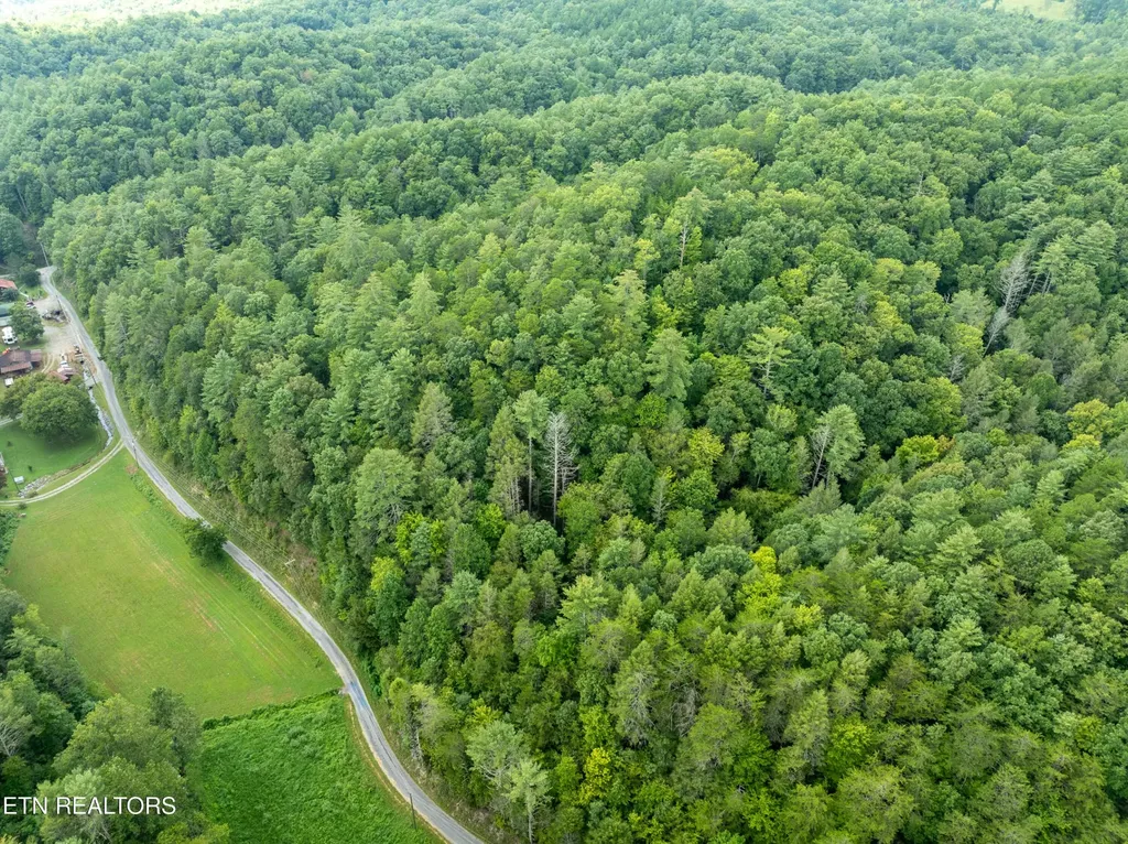 288 Oosterneck Road Tellico Plains TN 37385