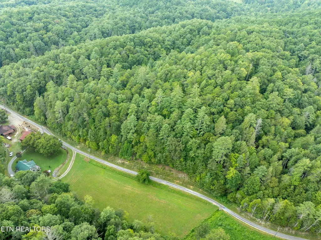 288 Oosterneck Road Tellico Plains TN 37385