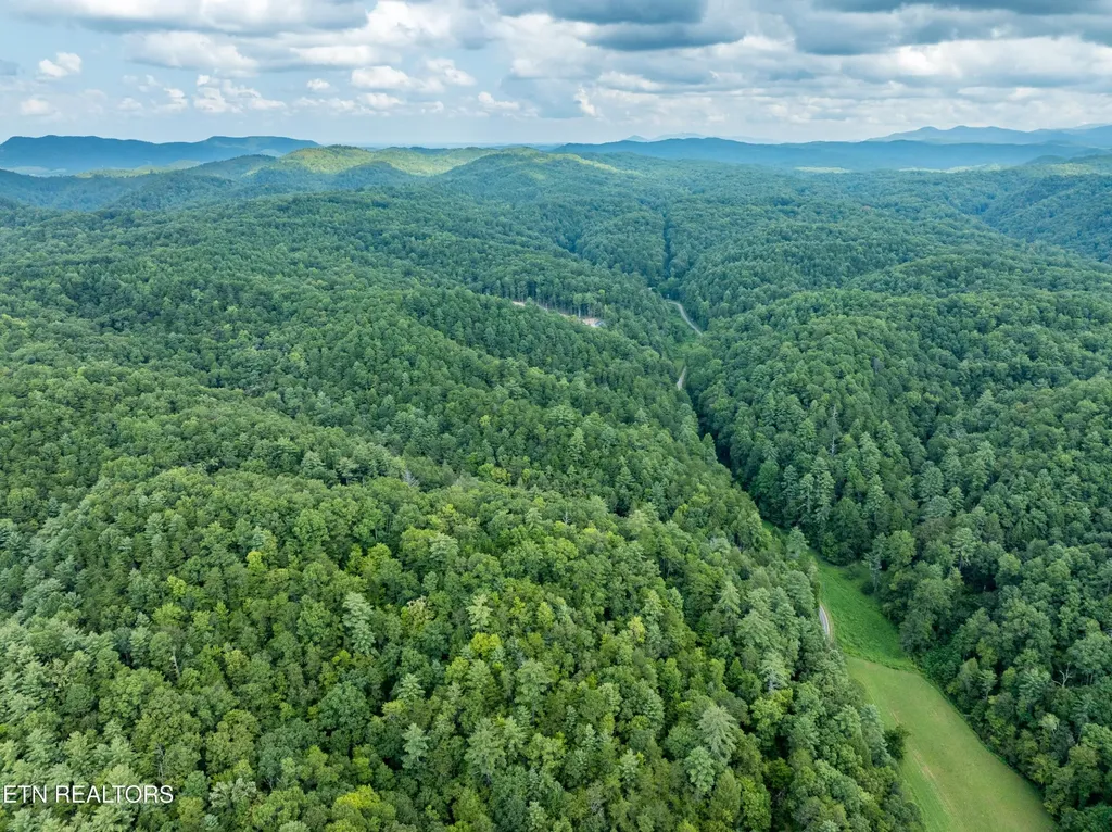288 Oosterneck Road Tellico Plains TN 37385