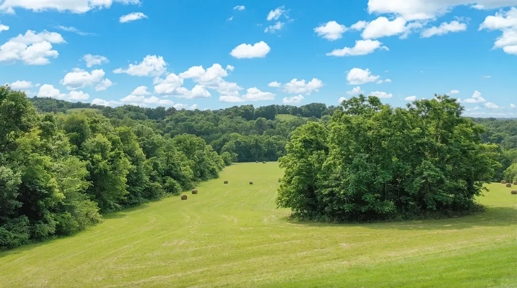 119 Crestland Circle Shelbyville TN 37160