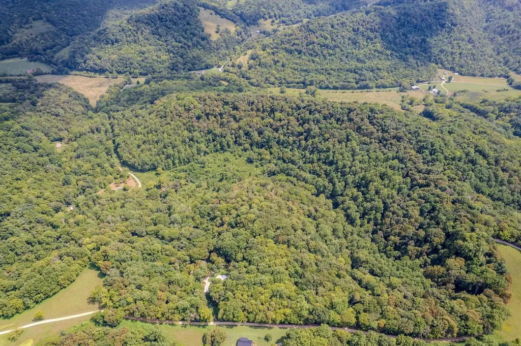 0 Watts Hollow Road Buffalo Valley TN 38548