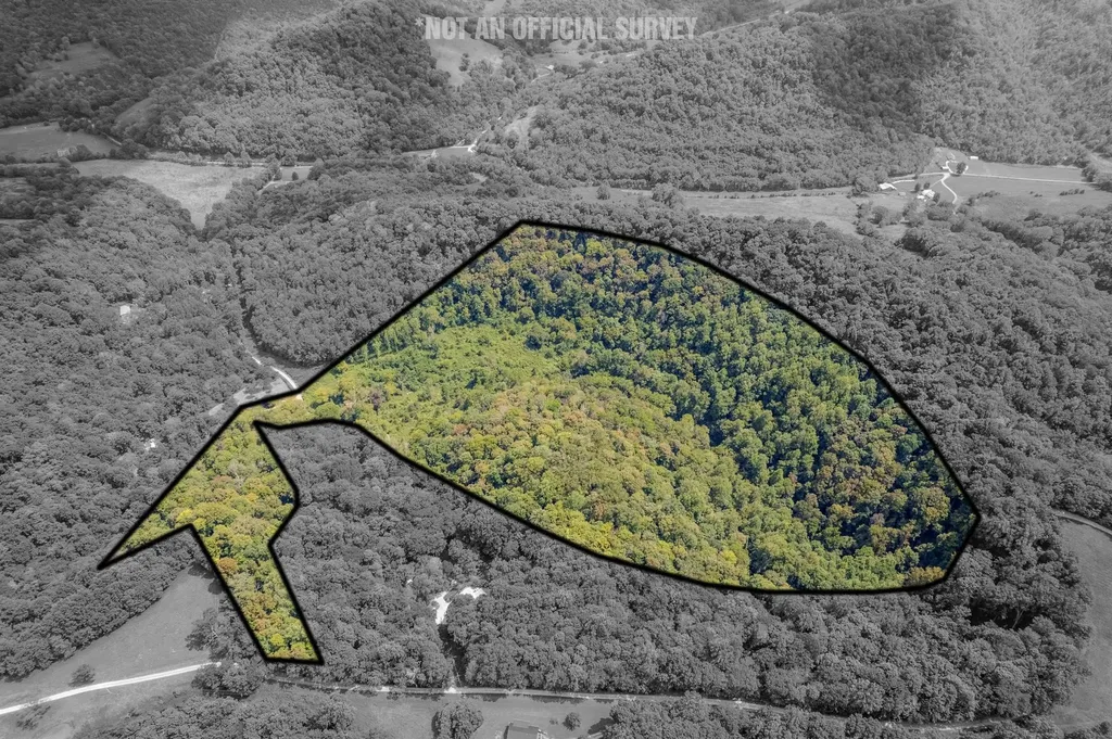0 Watts Hollow Road Buffalo Valley TN 38548