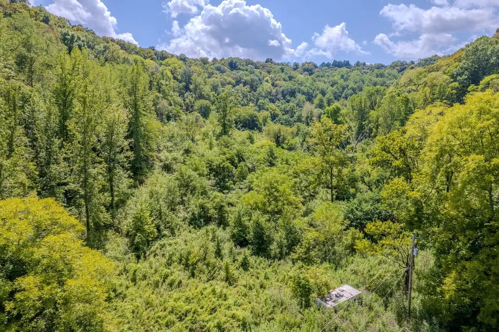 0 Watts Hollow Road Buffalo Valley TN 38548