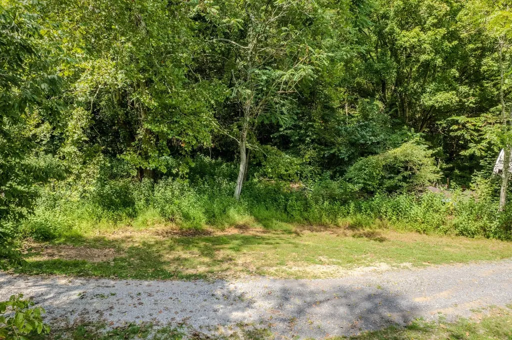 0 Watts Hollow Road Buffalo Valley TN 38548