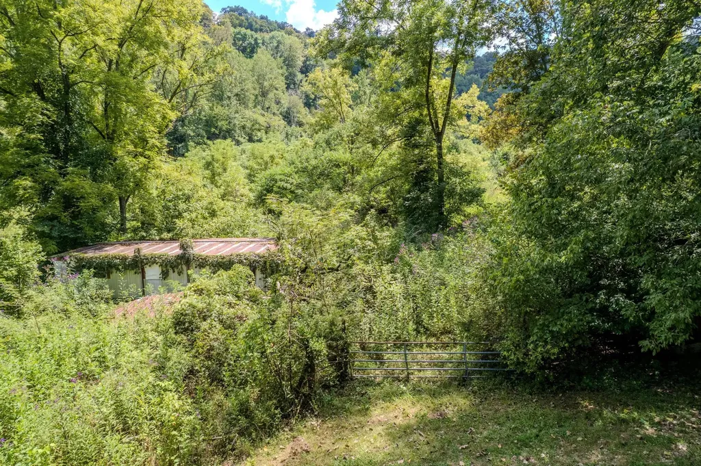 0 Watts Hollow Road Buffalo Valley TN 38548