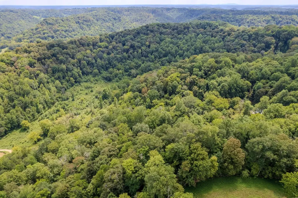 0 Watts Hollow Road Buffalo Valley TN 38548