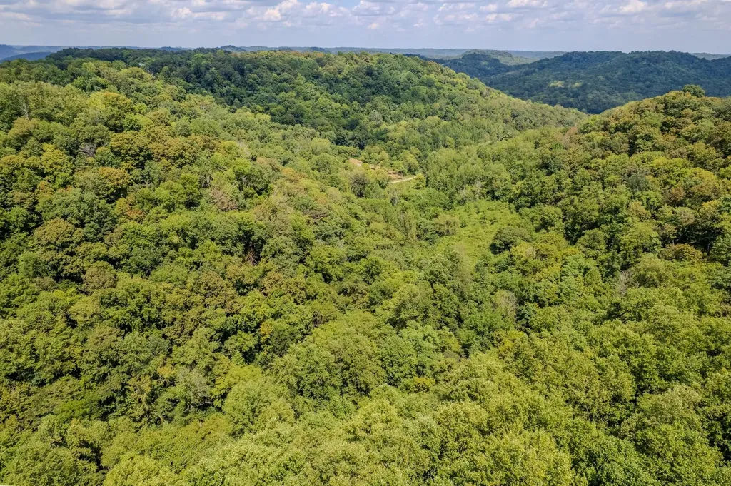 0 Watts Hollow Road Buffalo Valley TN 38548
