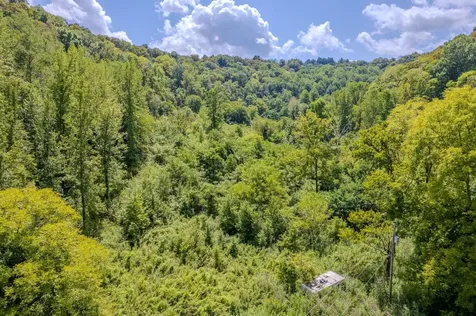 0 Watts Hollow Road Buffalo Valley TN 38548
