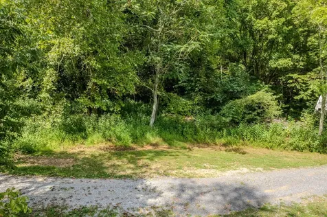 0 Watts Hollow Road Buffalo Valley TN 38548