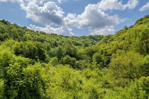 0 Watts Hollow Road Buffalo Valley TN 38548