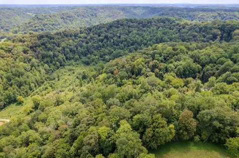 0 Watts Hollow Road Buffalo Valley TN 38548