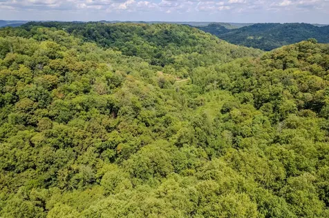 0 Watts Hollow Road Buffalo Valley TN 38548