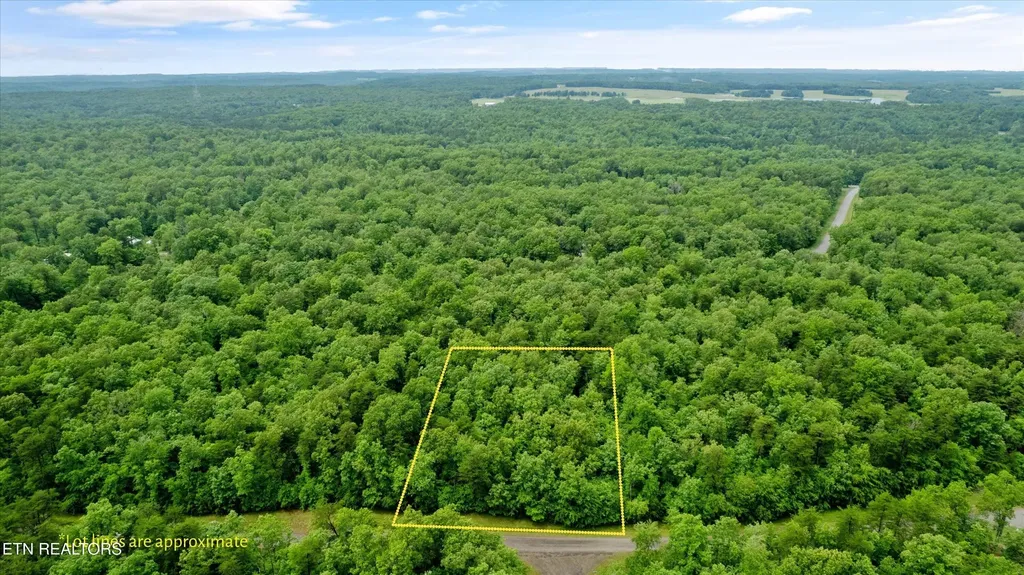 158 Mountain Ash Drive Monterey TN 38574