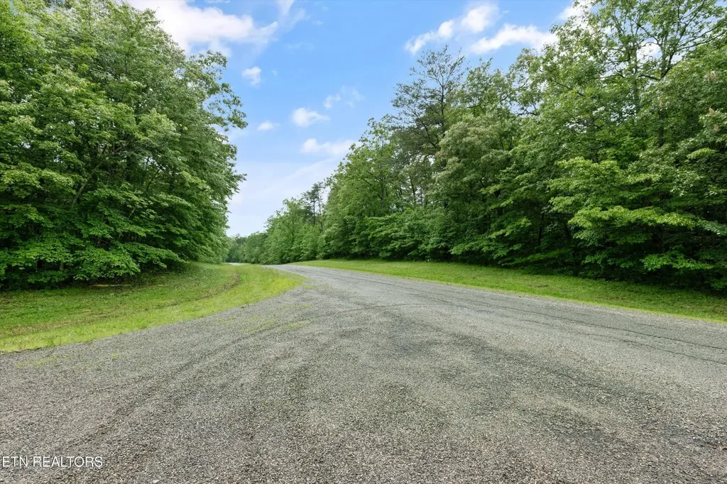 158 Mountain Ash Drive Monterey TN 38574