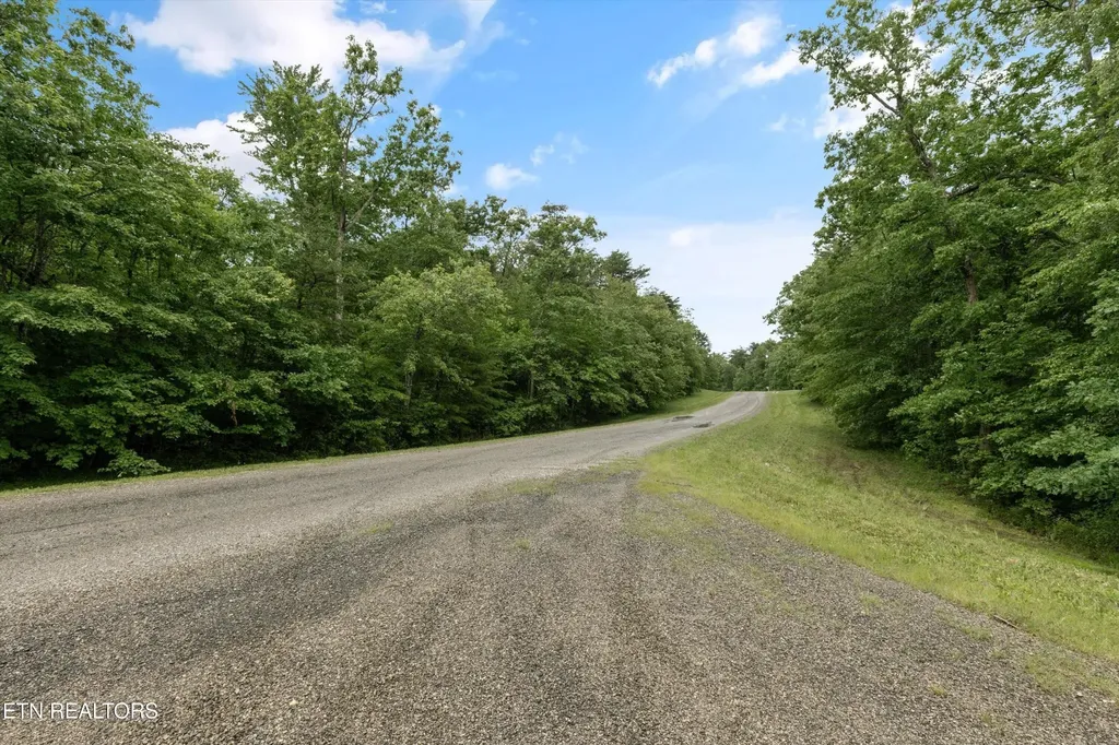 158 Mountain Ash Drive Monterey TN 38574