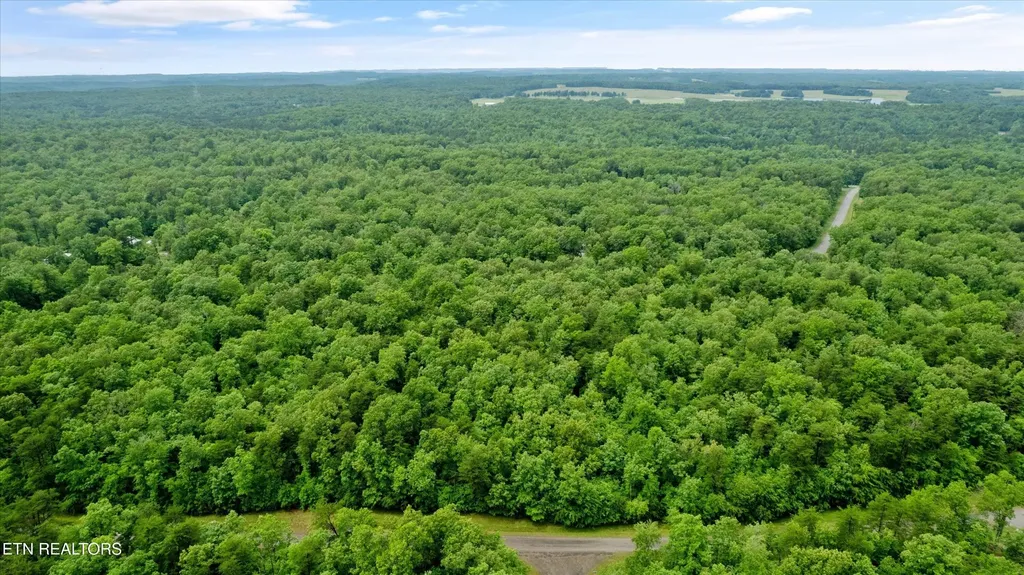 158 Mountain Ash Drive Monterey TN 38574