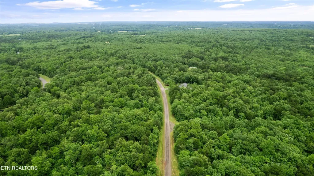 158 Mountain Ash Drive Monterey TN 38574