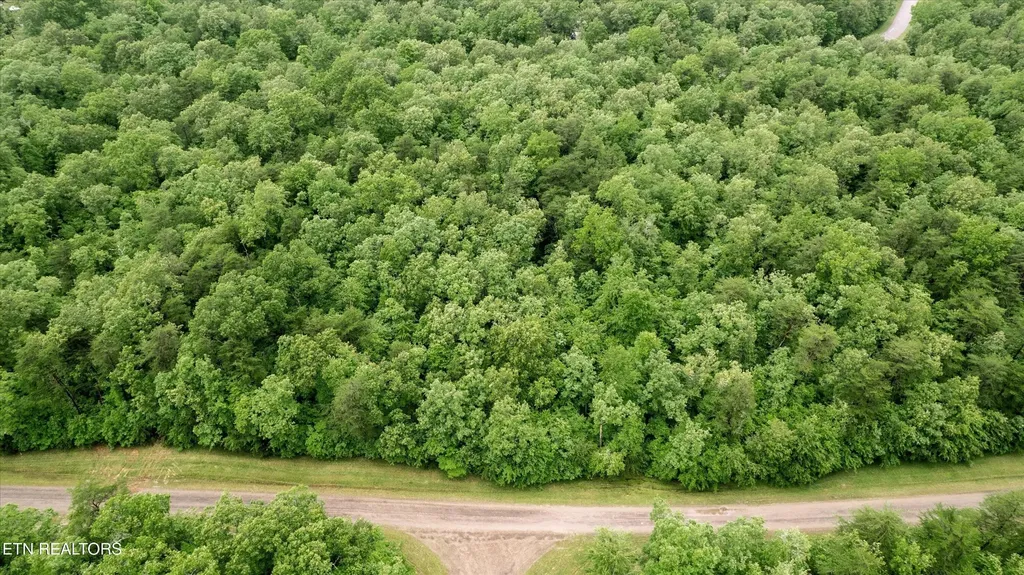 158 Mountain Ash Drive Monterey TN 38574