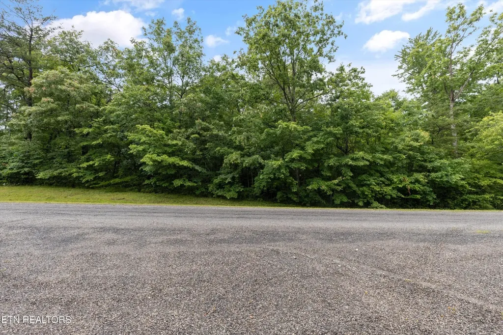 158 Mountain Ash Drive Monterey TN 38574
