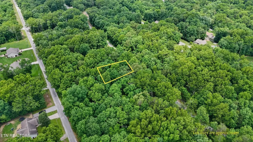 2116 Black Wolf Drive Crossville TN 38572