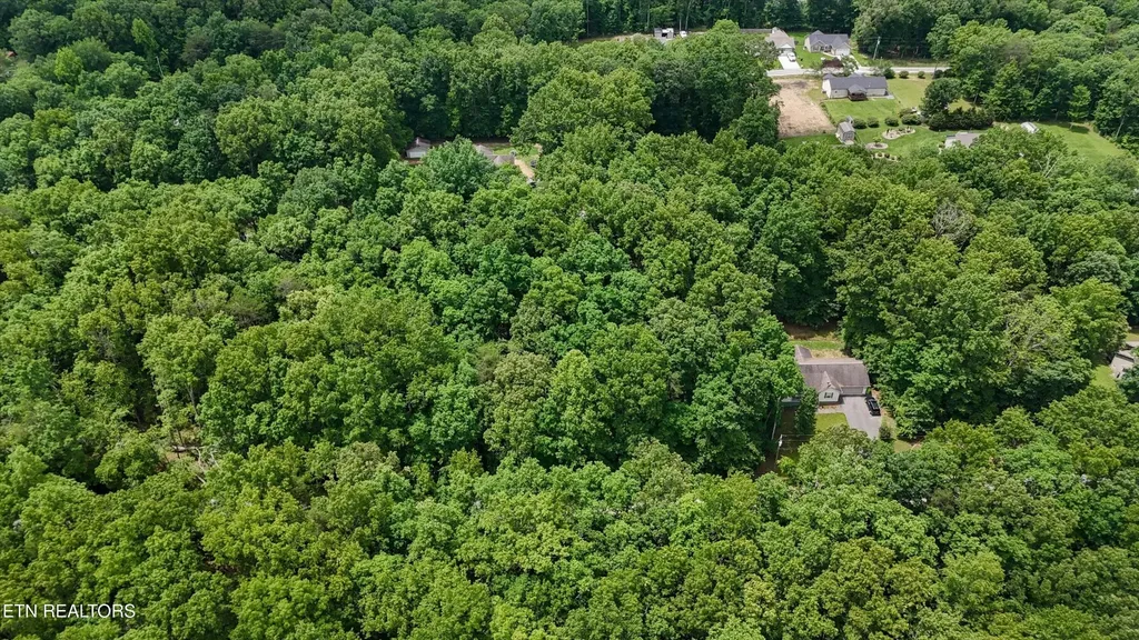 2116 Black Wolf Drive Crossville TN 38572