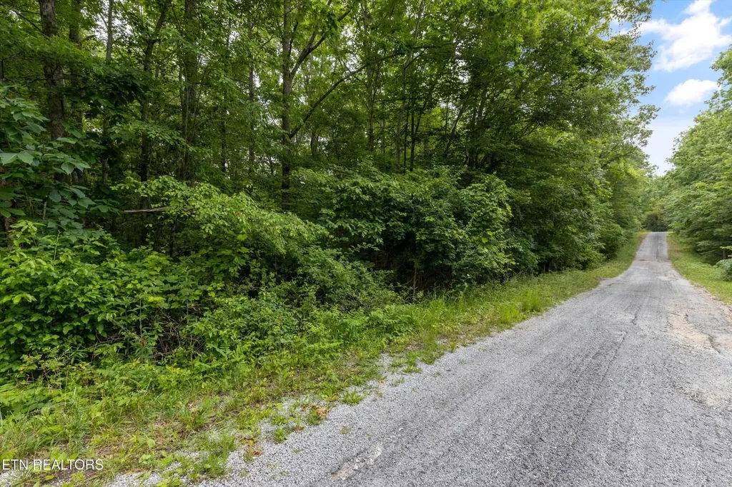 2116 Black Wolf Drive Crossville TN 38572