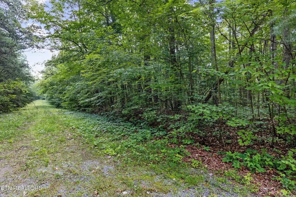 122 Banbury Lane Crossville TN 38558
