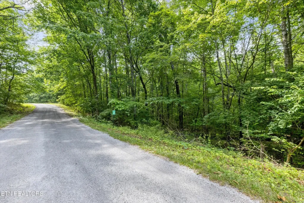 3029 Nocatee Trace Crossville TN 38572