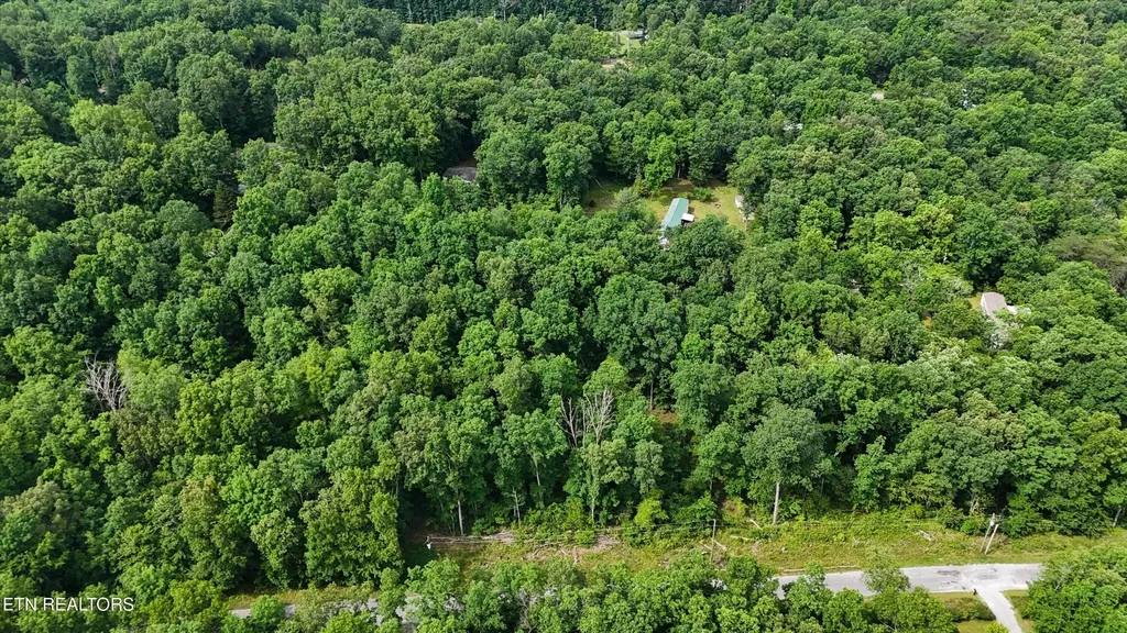 3029 Nocatee Trace Crossville TN 38572