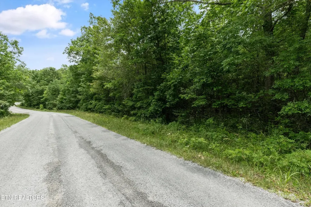 23132315 White Horse Drive Crossville TN 38572