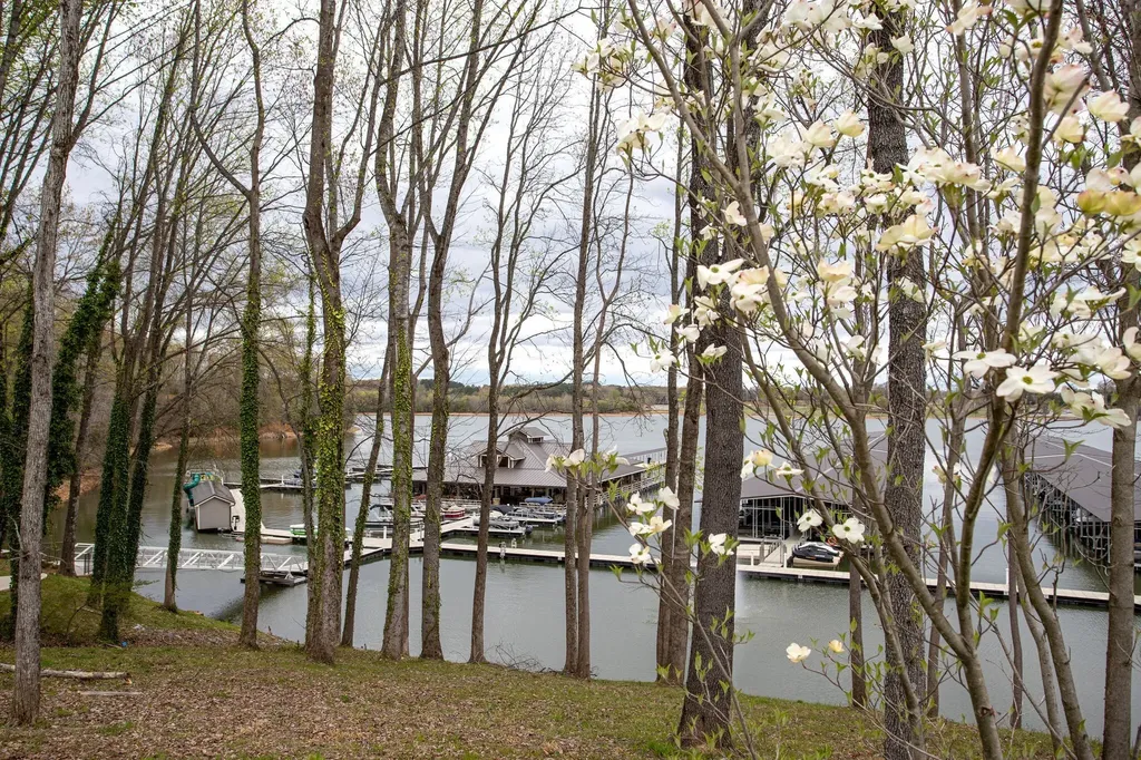 0 Driftwood Court Winchester TN 37398
