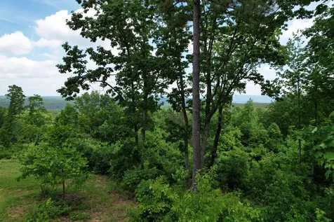 440 Lookout View Drive Jasper TN 37347