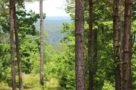 440 Lookout View Drive Jasper TN 37347