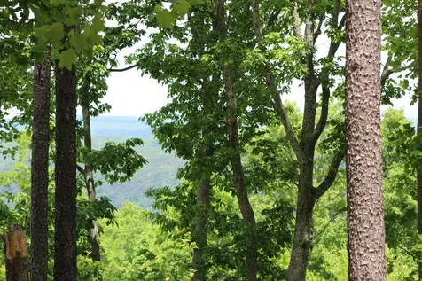 440 Lookout View Drive Jasper TN 37347