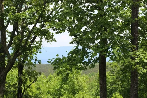 440 Lookout View Drive Jasper TN 37347
