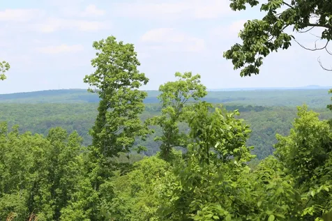 440 Lookout View Drive Jasper TN 37347