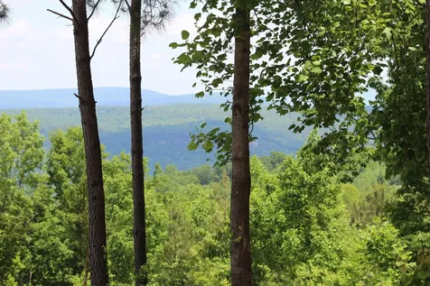 440 Lookout View Drive Jasper TN 37347