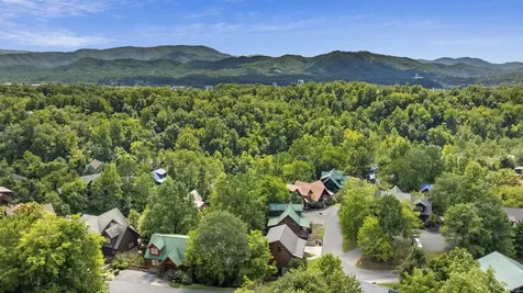 318 Alpine Mountain Way Pigeon Forge TN 37863
